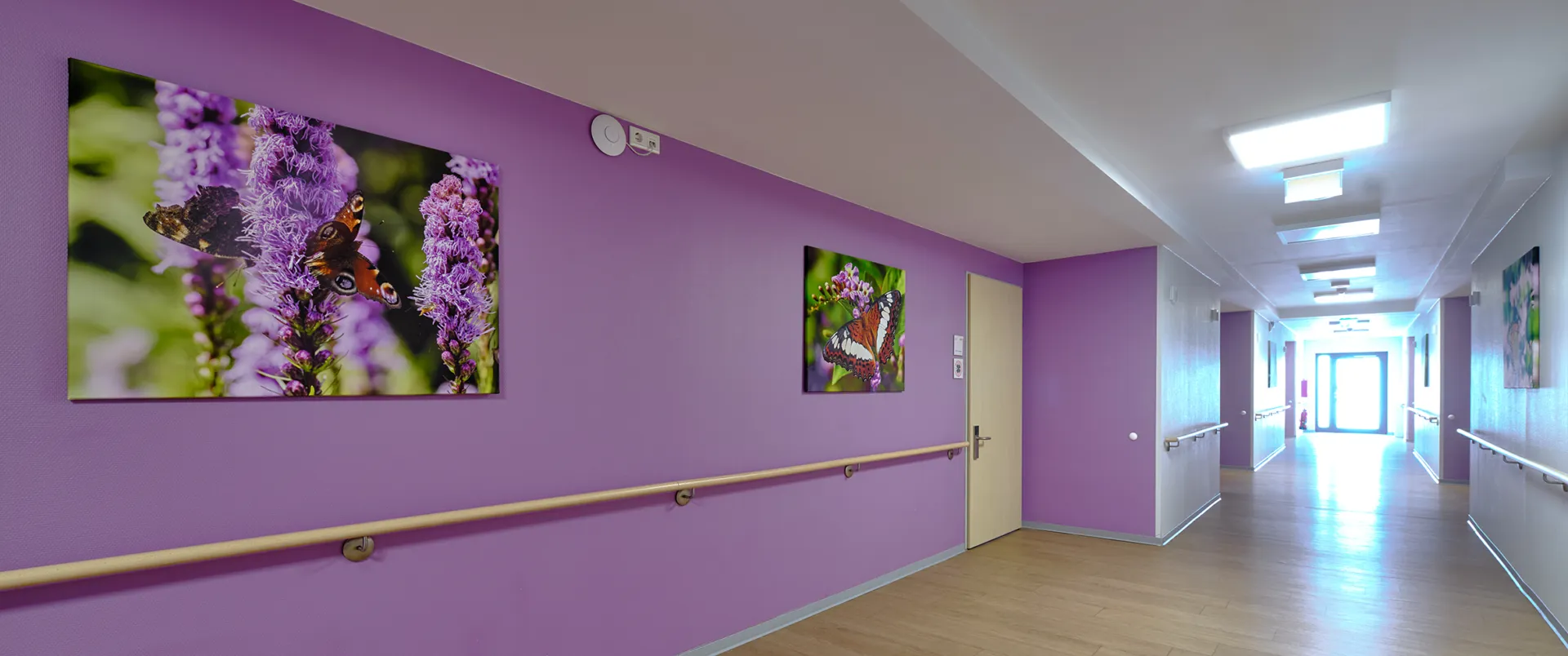 Bannerfoto Wernerstraße